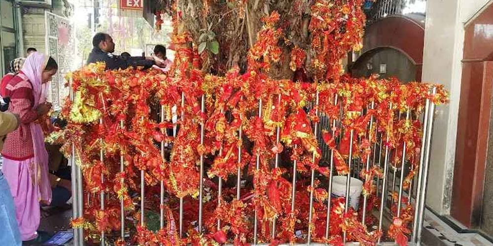 Chatarpur Temple Top Resorts in Chattarpur, Delhi